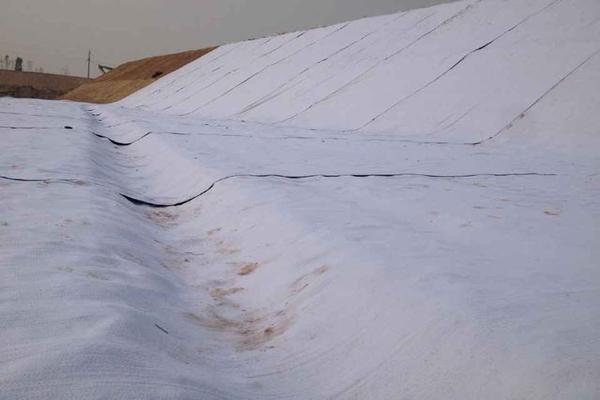 路面养护为什么使用土工布 第1张